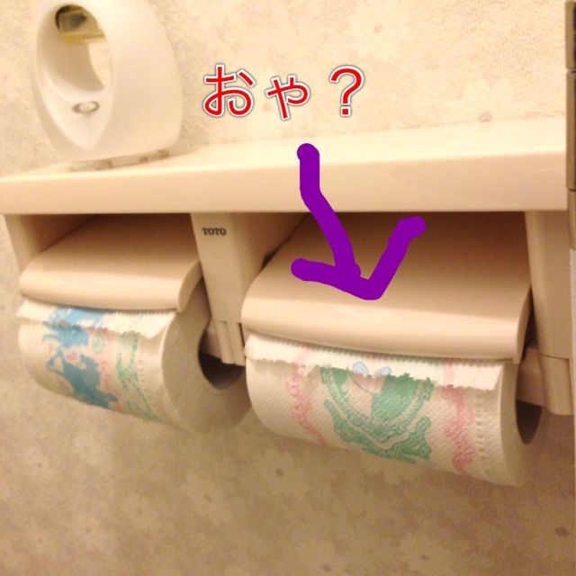 toiletpaper1.jpg